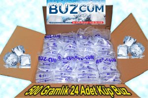 Küp Buz - Kalıp Buz - Yaprak Buz Üretimi